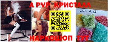apvp Гусев