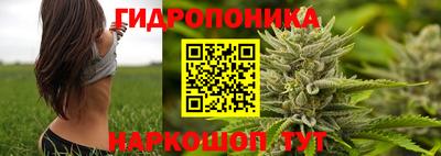 apvp Гусев